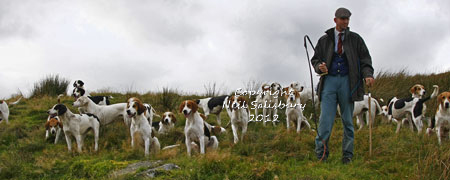 Fox Hound Photography by Betty Fold Gallery Hawkshead Hill Ambleside Lake District